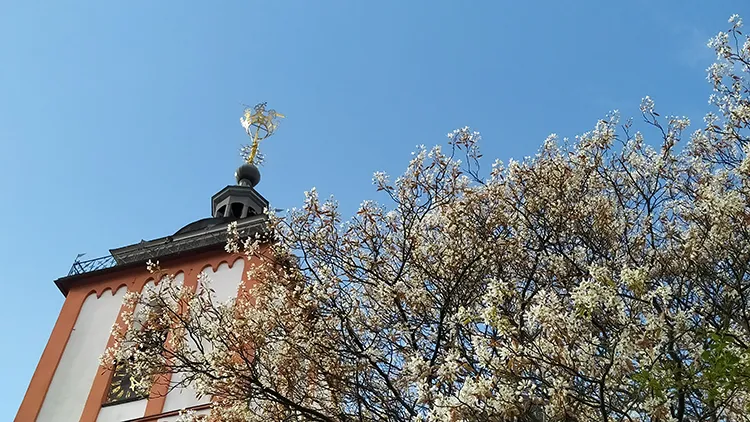 Nikolai-Kirche im Frühling